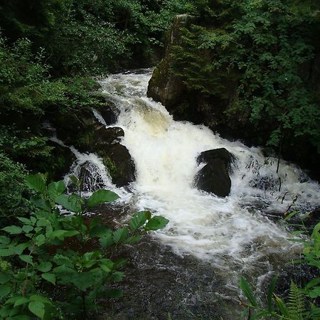 Les Brimbelles Daire Gérardmer Dış mekan fotoğraf