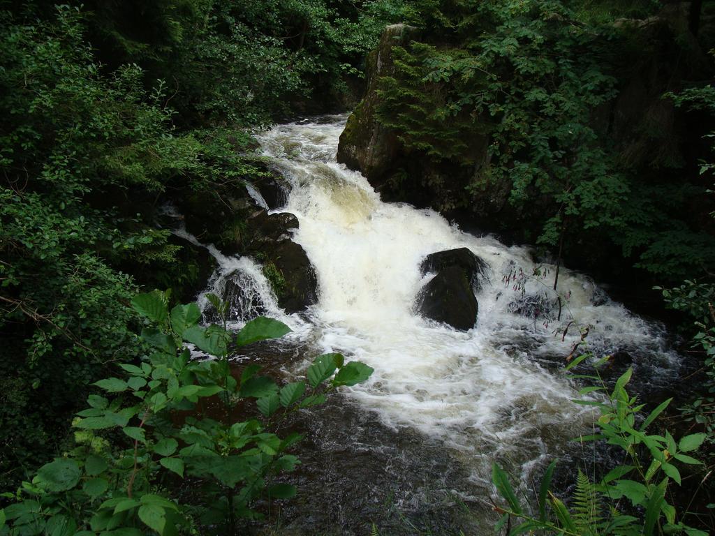 Les Brimbelles Daire Gérardmer Dış mekan fotoğraf